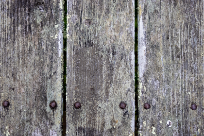 泥视频官网：探索最新视频内容与精彩活动的最佳平台