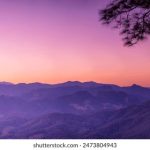 注册steam账号:详细步骤与注意事项,轻松畅玩游戏世界 8p86rx7