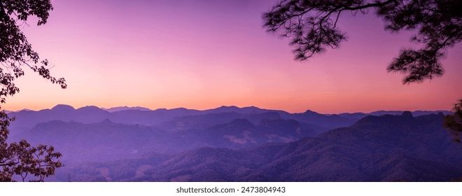 注册steam账号：详细步骤与注意事项，轻松畅玩游戏世界