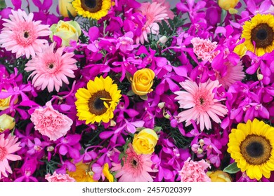 火影忍者在线观看免费观看：畅享经典忍者冒险之旅