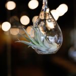 歪歪漫画首页sss:探索最新热门漫画,尽享精彩阅读体验! l71z59u7zz