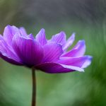 泥视频下载:轻松获取热门视频,畅享无限精彩内容! m66i6