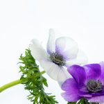 泥視頻:探索泥土的魅力与自然之美的奇妙旅程 r14e9v