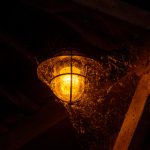 欧乐影院在线观看网站:畅享最新电影与热门剧集的最佳选择 u78b6i3ga