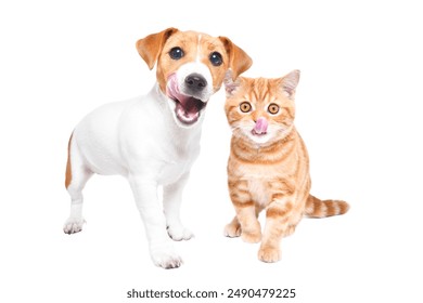 泥视频电视版：畅享高清影视盛宴，尽在掌握