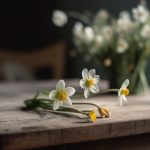 畅游漫画天堂官网,尽享无限精彩漫画世界 0s7hhe