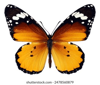 畅游漫画世界：最全看漫画官网推荐与使用指南