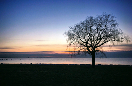 畅玩Hacknet手机版：免费下载与安装全攻略