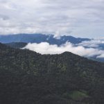 畅游天仙TV导航入口,尽享精彩影视盛宴 jkbhm0