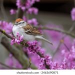 畅游青苹果乐园在线,体验无限乐趣与精彩 v64oo