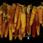 畅享黑暗视频资源,免费观看精彩内容 yw0dhr0r